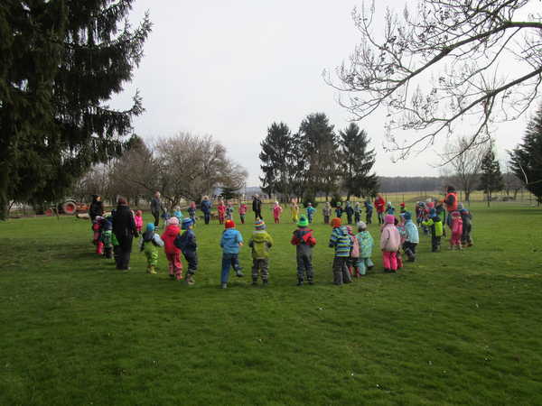 IMG_5178 IMG_5178