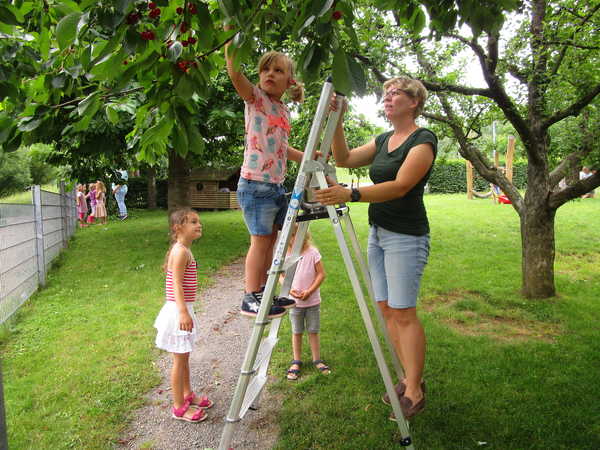IMG_5497 IMG_5497