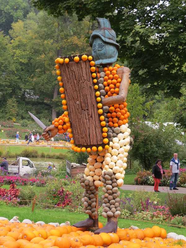 IMG_8431 IMG_8431