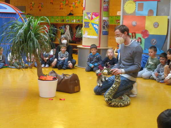 IMG_4554 IMG_4554
