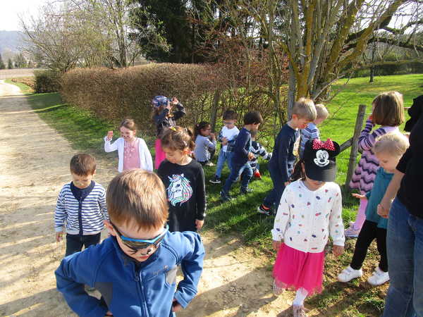 IMG_0090 IMG_0090