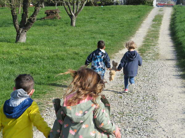 IMG_0740 IMG_0740