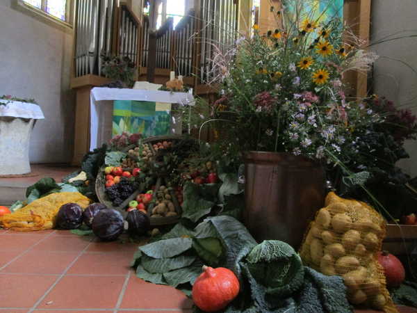 IMG_3151 IMG_3151