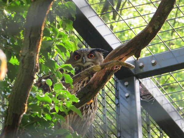 IMG_3578 IMG_3578