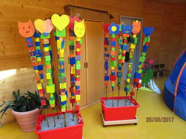 IMG_3598 IMG_3598