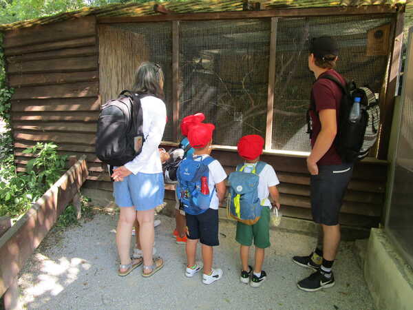 IMG_4505 IMG_4505